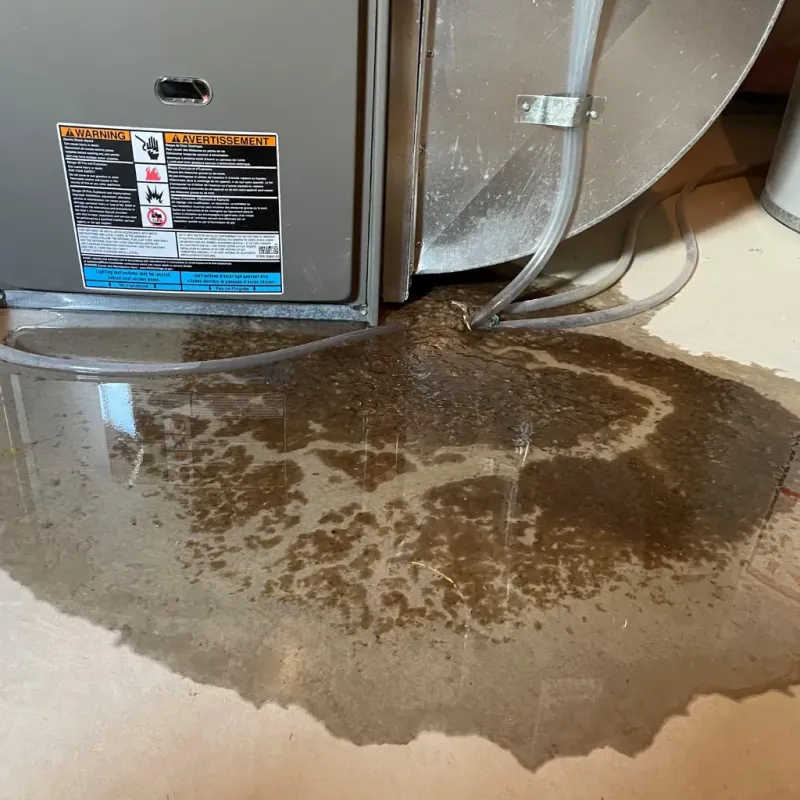 Appliance Leak Cleanup in Jasper, IN